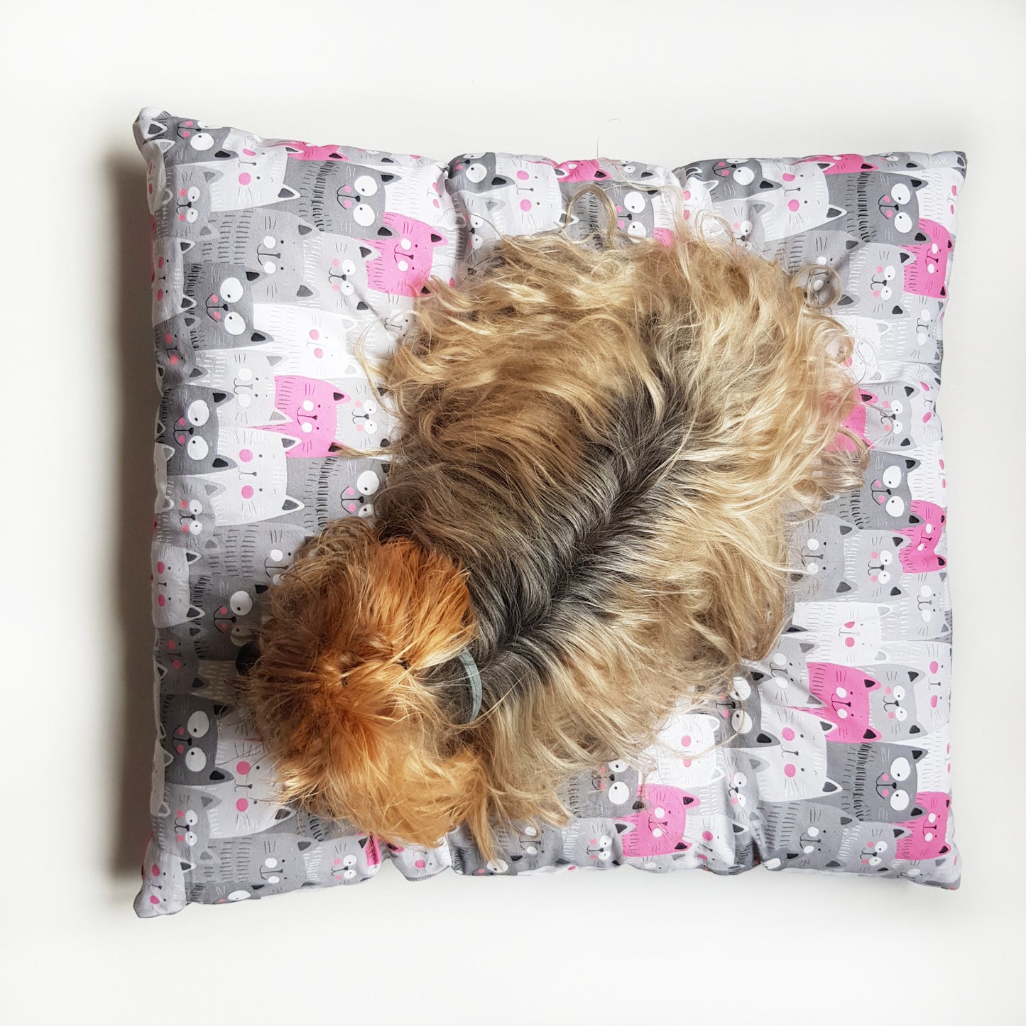 Perna pentru caini si pisici, model cu pisicute, 100% bumbac, 50 x 40 cm, Blanosic (lucrata manual)