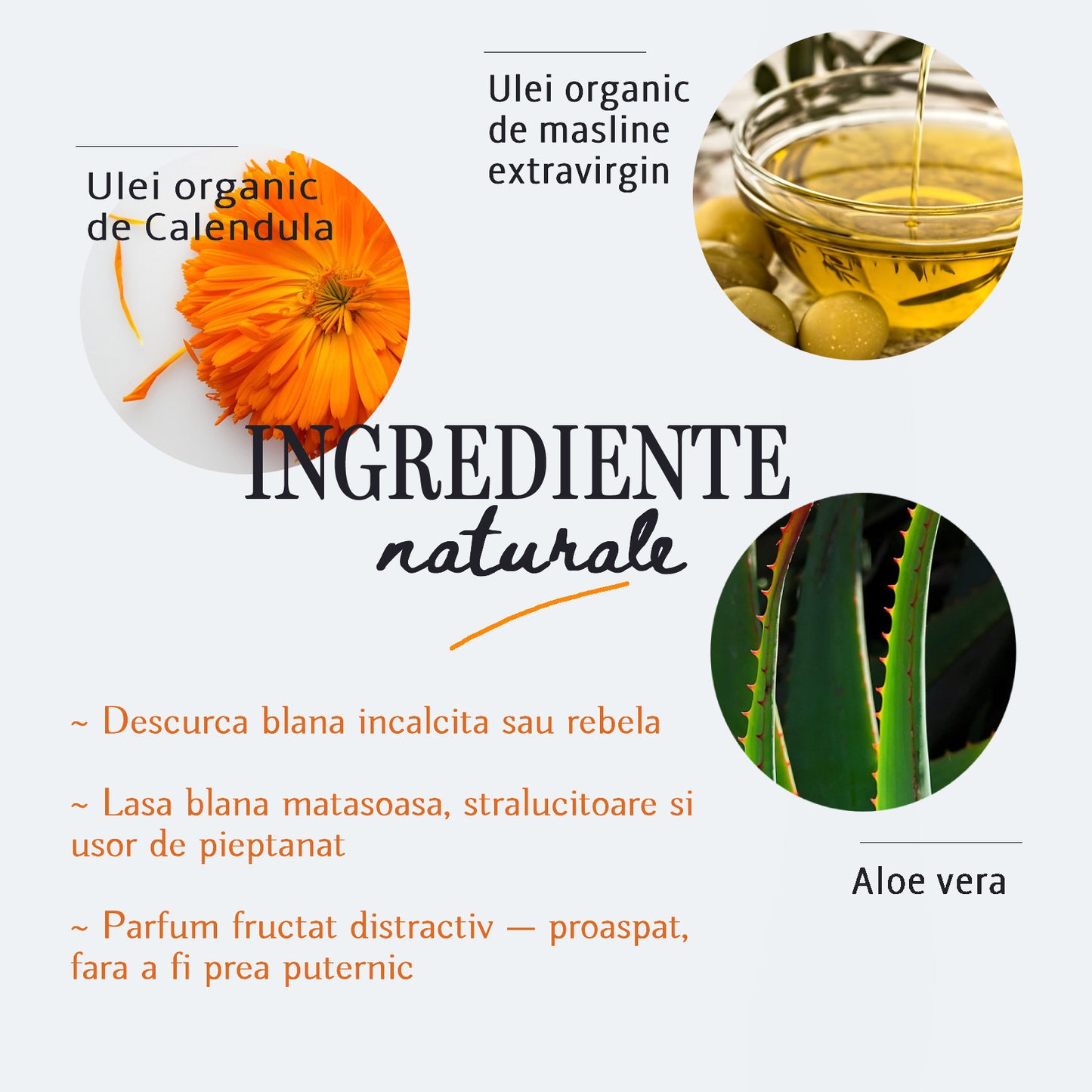 Sampon & Balsam 2 in 1 pentru animale de companie, Fruit Friends, Diluabil 1:20, Always Your Friend (fabricat manual)