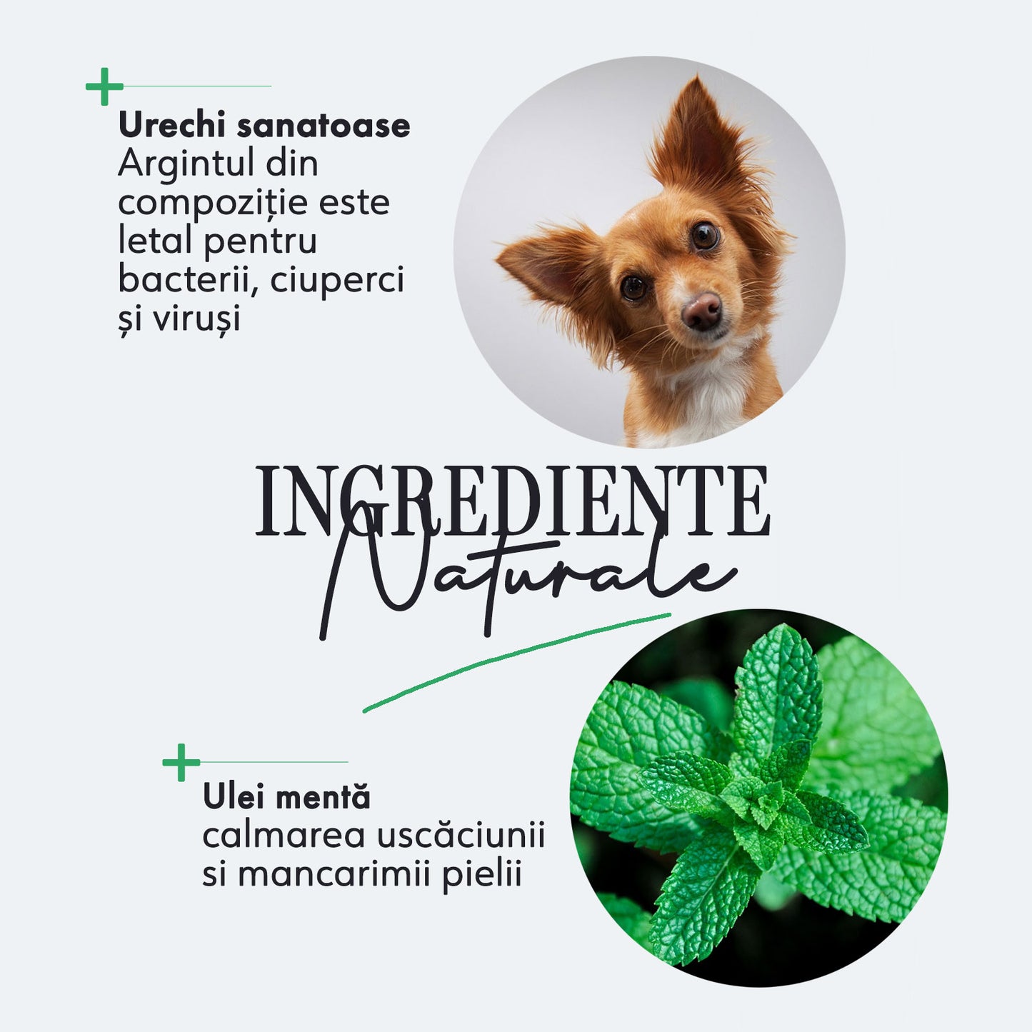 Spray curatare urechi animale de companie, Always Your Friend (fabricat manual)