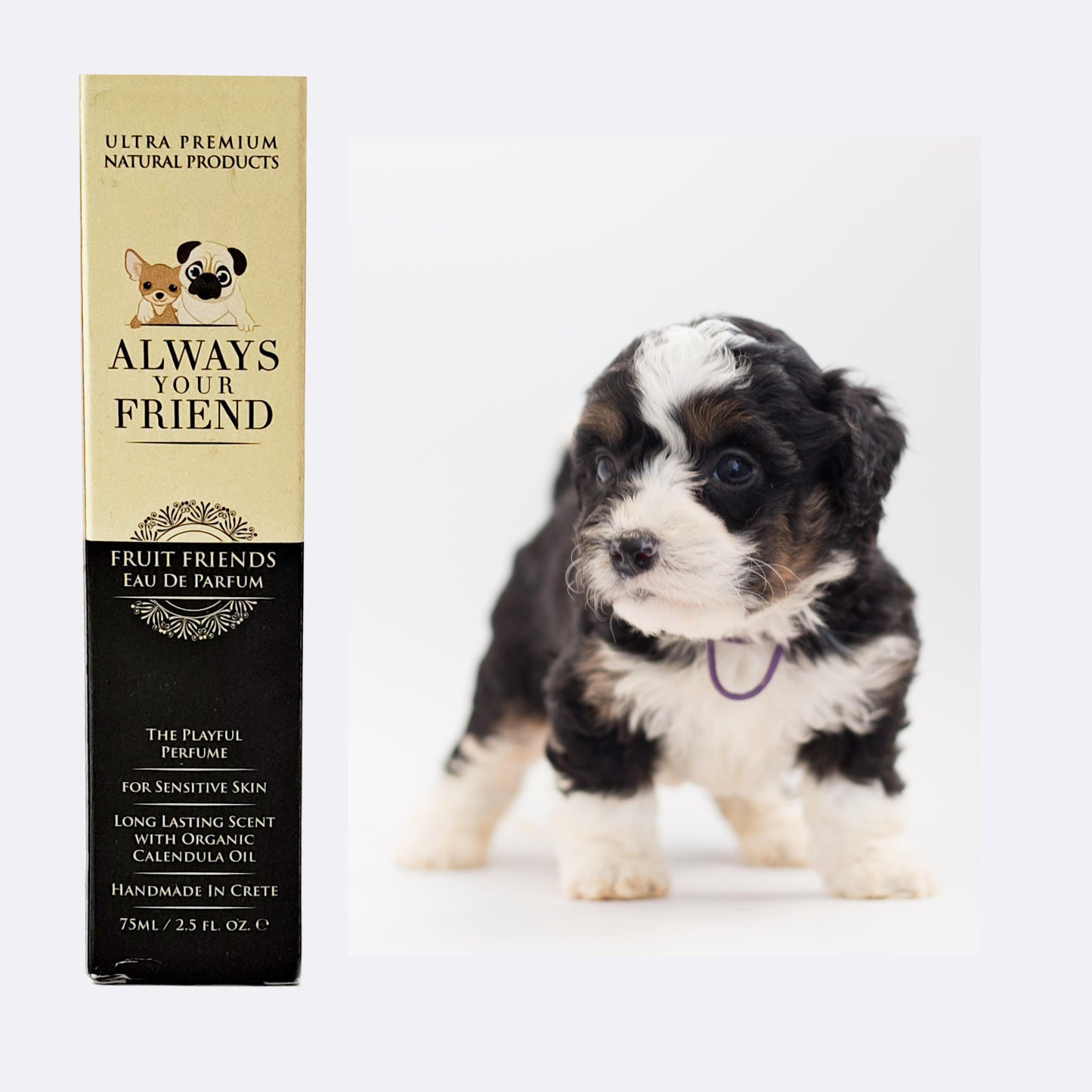 Apa de parfum animale de companie Fruit Friends, Always Your Friend (fabricata manual)