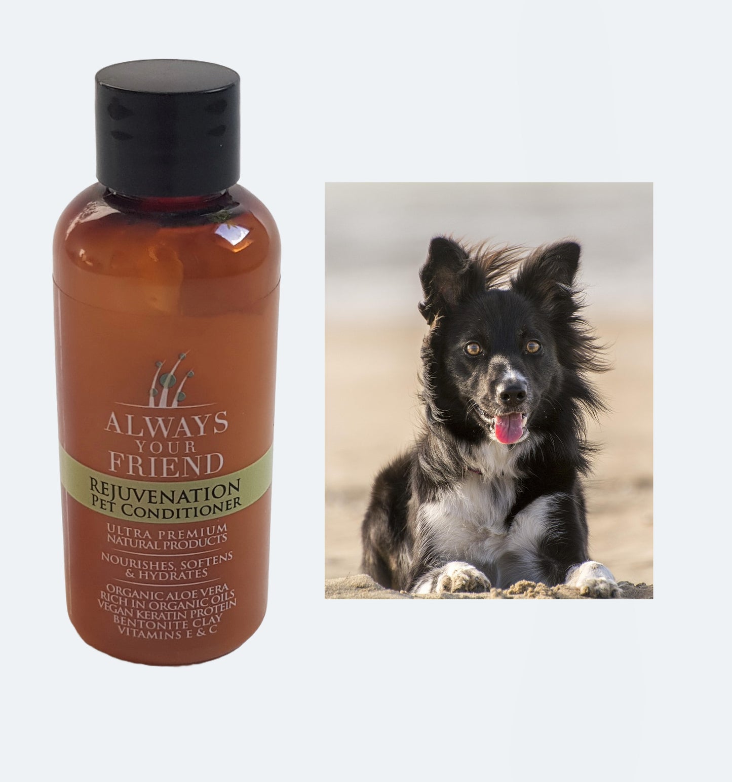 Balsam mini pentru animale de companie, Rejuvenation, Diluabil 1:20, Always Your Friend (fabricat manual)
