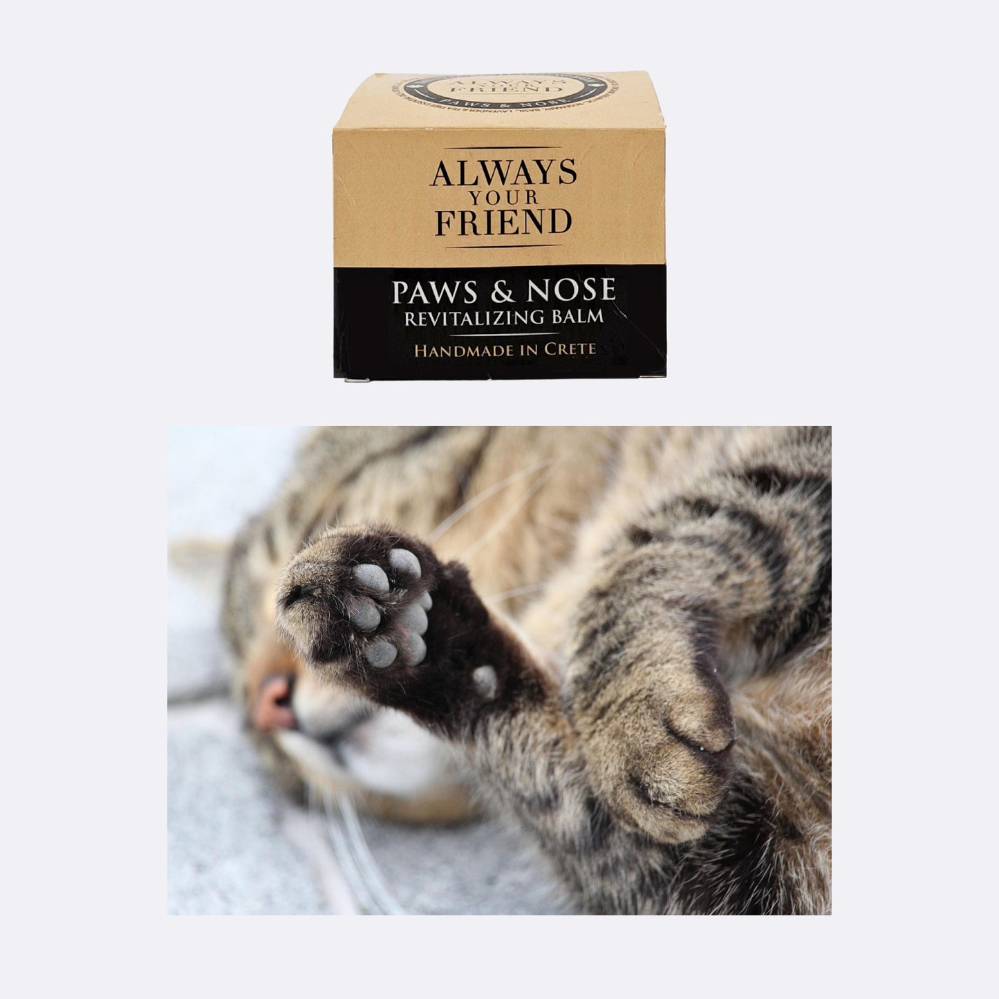 Crema hidratare labute si nas animale de companie, Always Your Friend (fabricata manual)