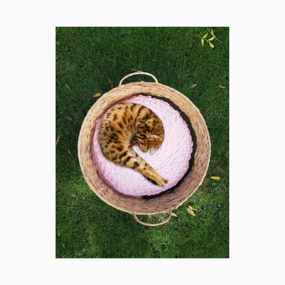 Handmade Cos cu perna 2 fete pentru pisici si caini, banan-kaki, 40 cm