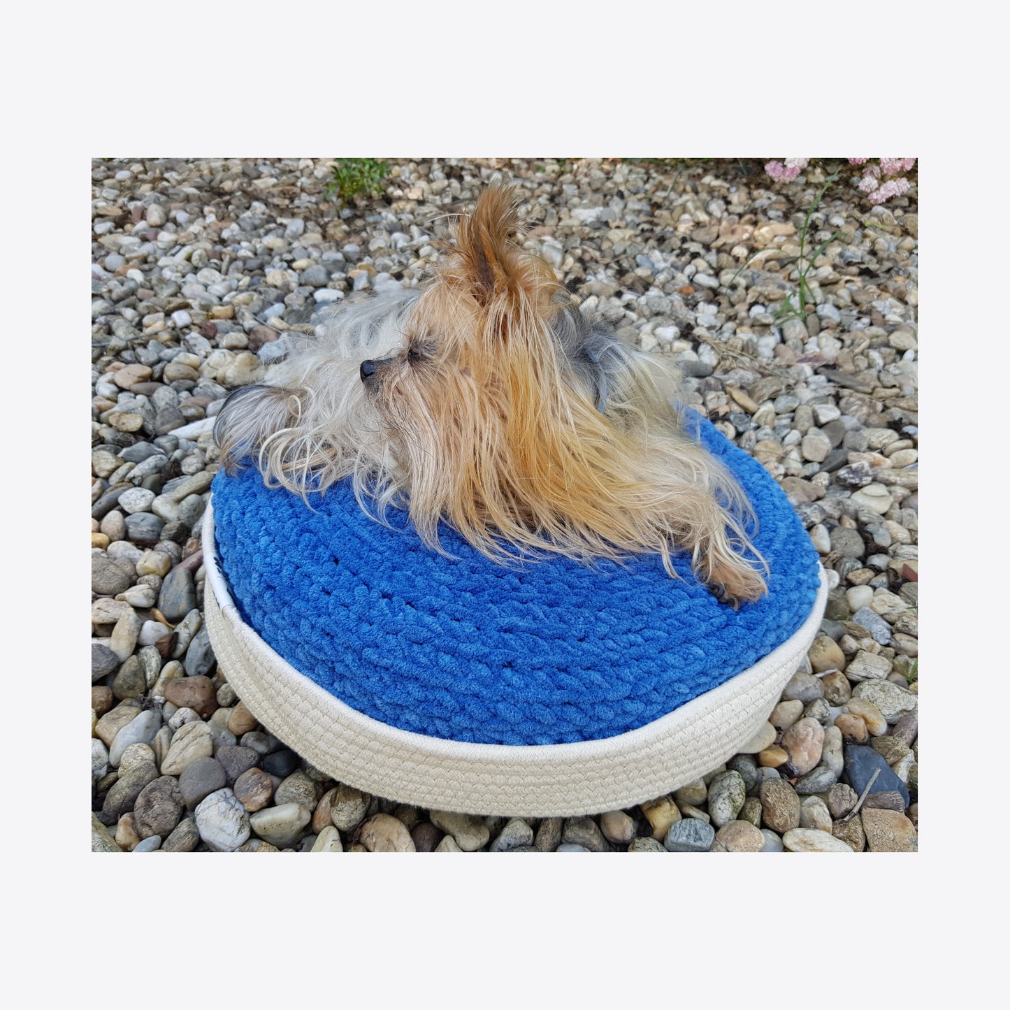 Cos cu perna catifelata pentru caini si pisici, bej-albastru, 45 cm (lucrata manual)