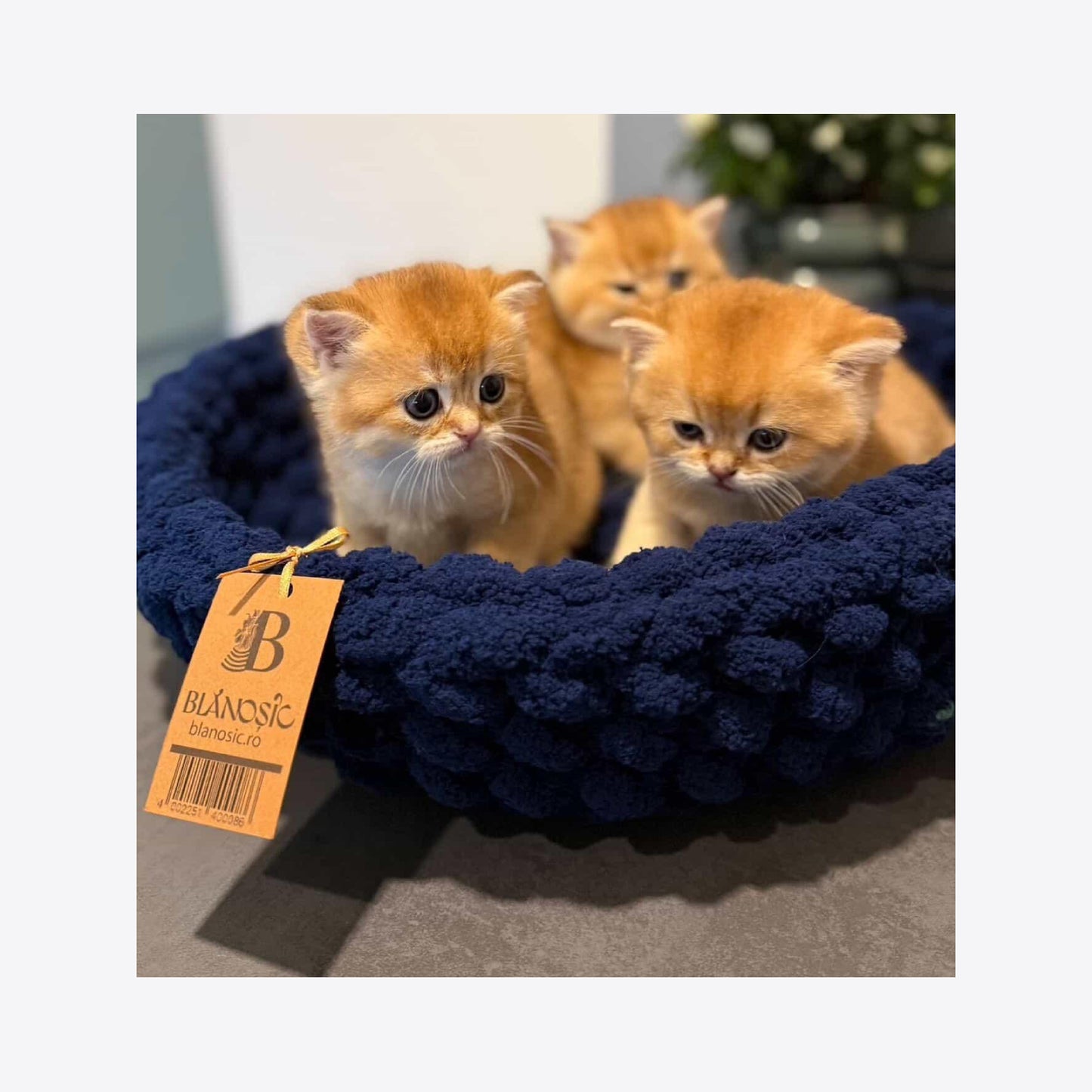 Cosulet animale de companie bleumarin 45 cm, Blanosic (lucrat manual)