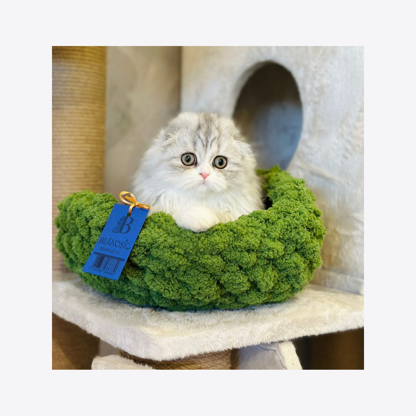 Cosulet animale de companie verde 40 cm, Blanosic (lucrat manual)
