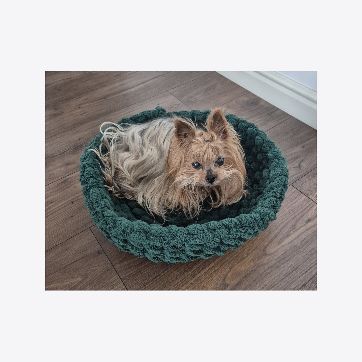 Cosulet animale de companie, verde inchis, 50 cm, Blanosic (lucrat manual)