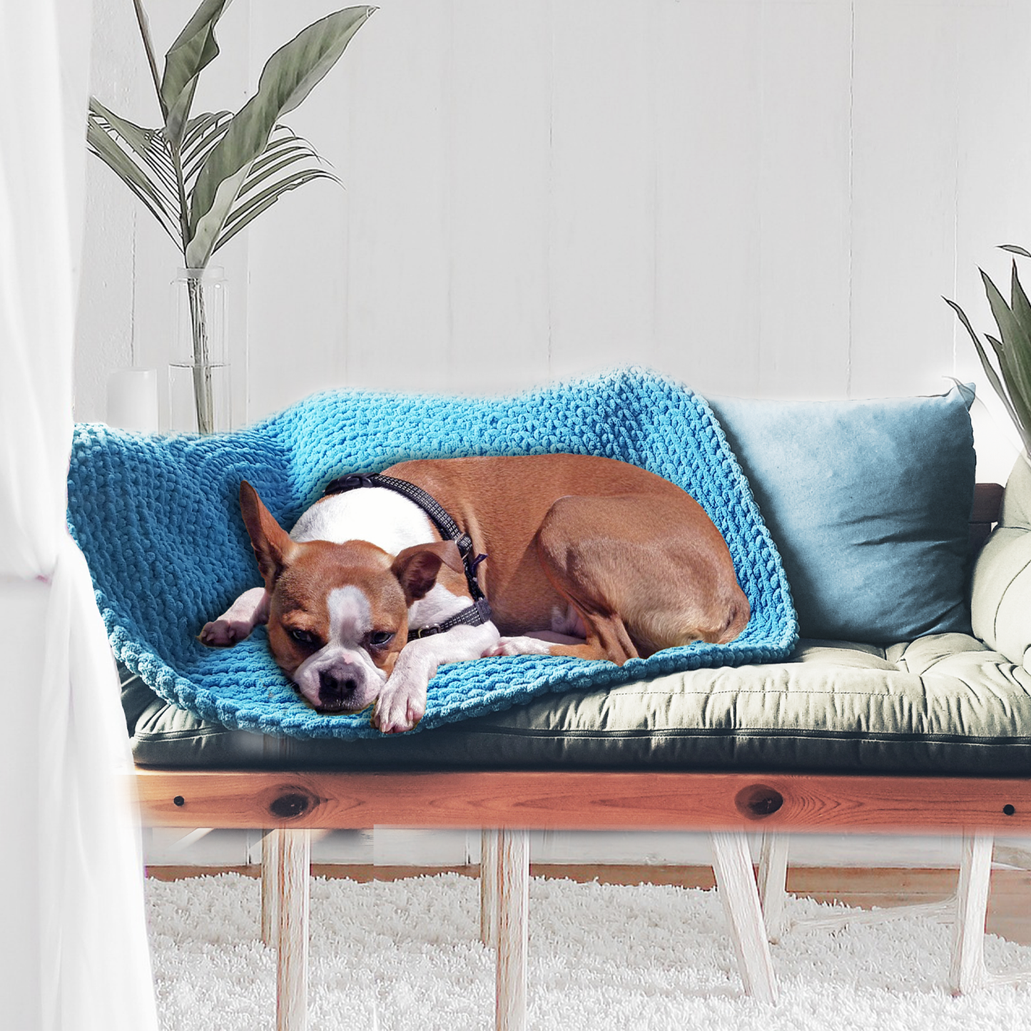 Covoras animale de companie albastru 120 cm (lucrat manual)