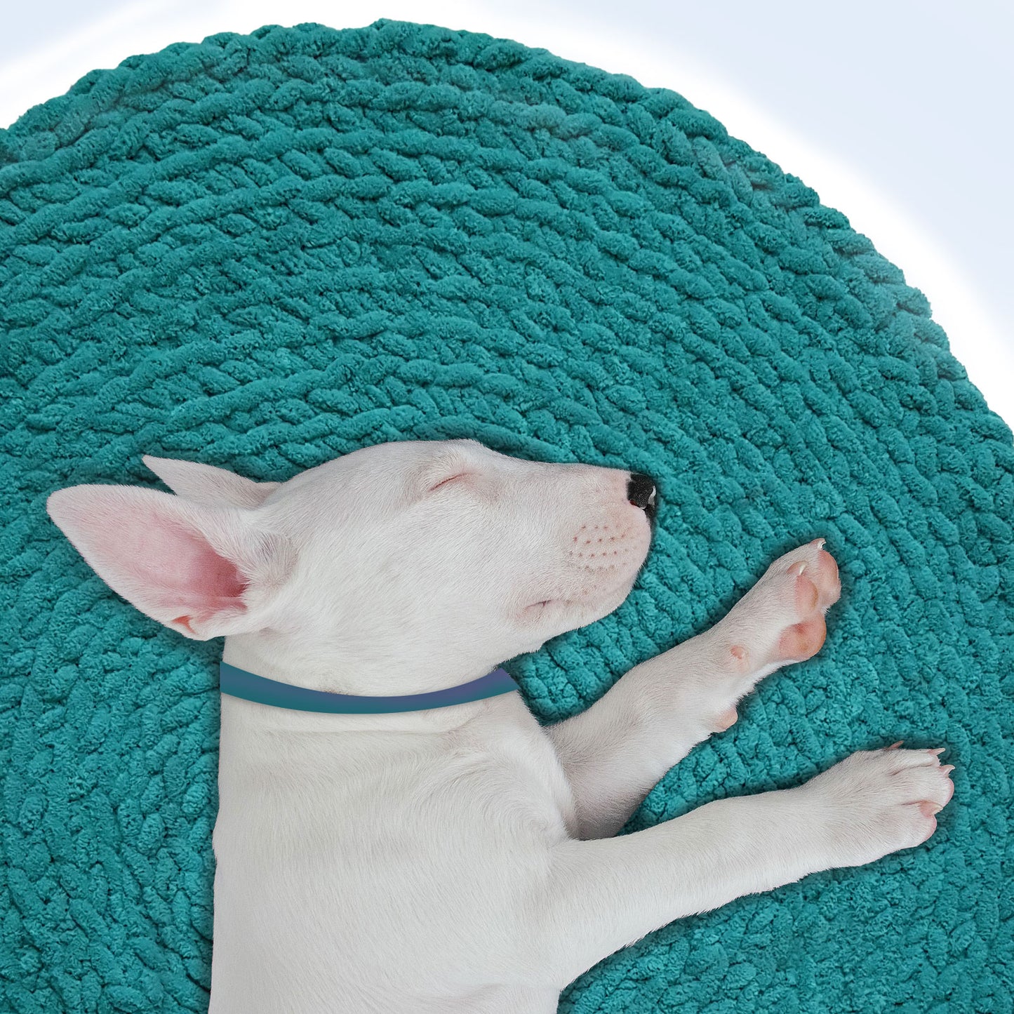 Covoras animale de companie verde smarald 80 cm, Blanosic (lucrat manual)