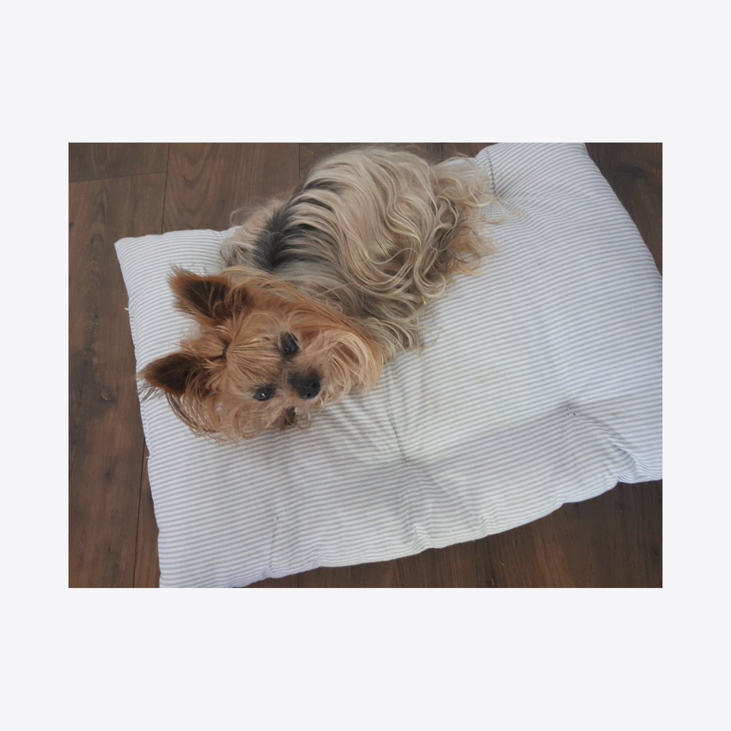Perna pentru caini si pisici, model cu dungi, 100% bumbac, 65 x 45 cm, Blanosic (lucrata manual)