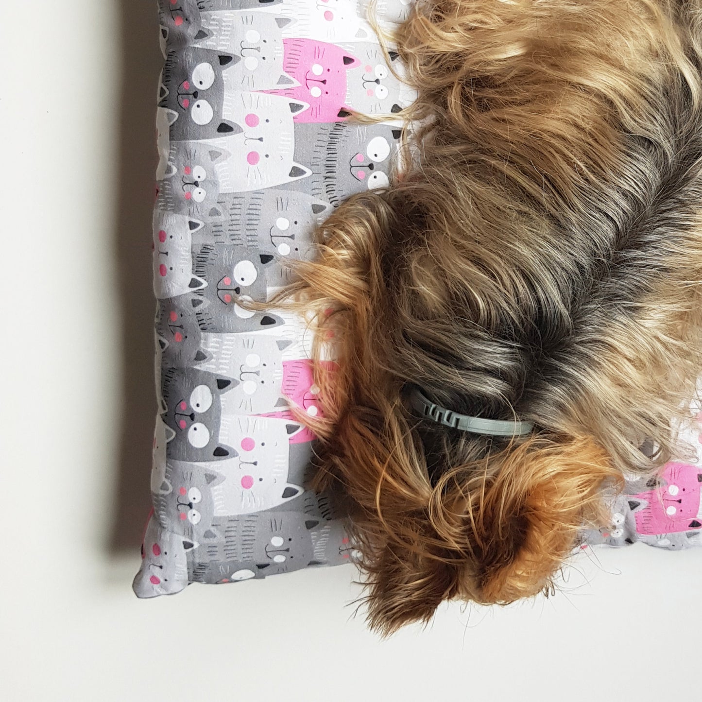 Perna pentru caini si pisici, model cu pisicute, 100% bumbac, 65 x 50 cm, Blanosic (lucrata manual)