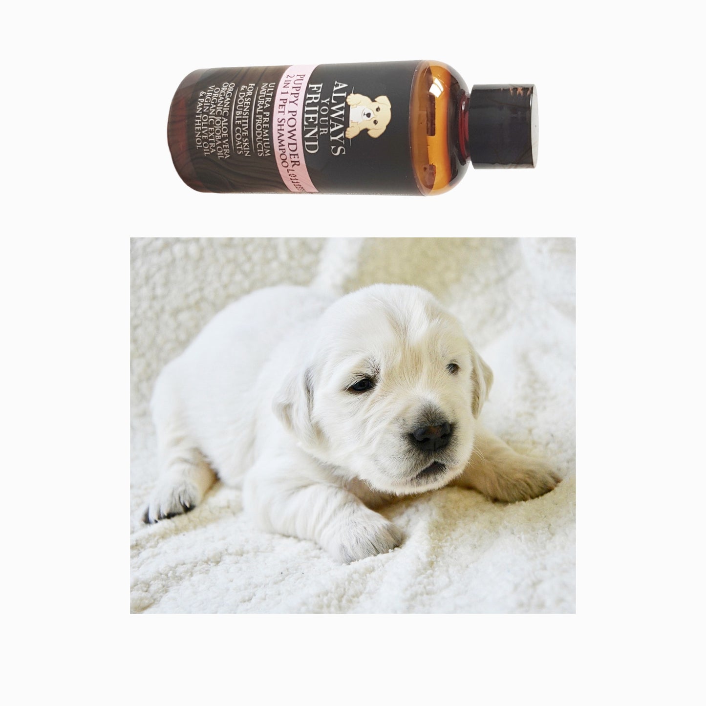 Sampon & Balsam 2 in 1 mini pentru animale de companie, Puppy Powder, Diluabil 1:32, Always Your Friend (fabricat manual)