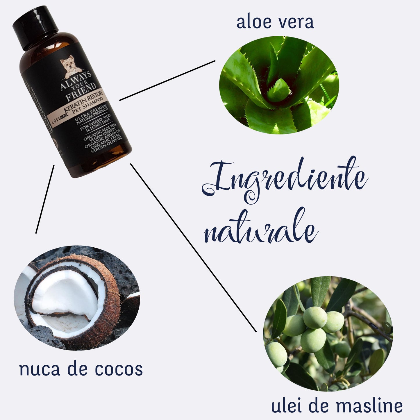 Sampon mini pentru animale de companie, Keratin Restore, Diluabil 1:32, Always Your Friend (fabricat manual)
