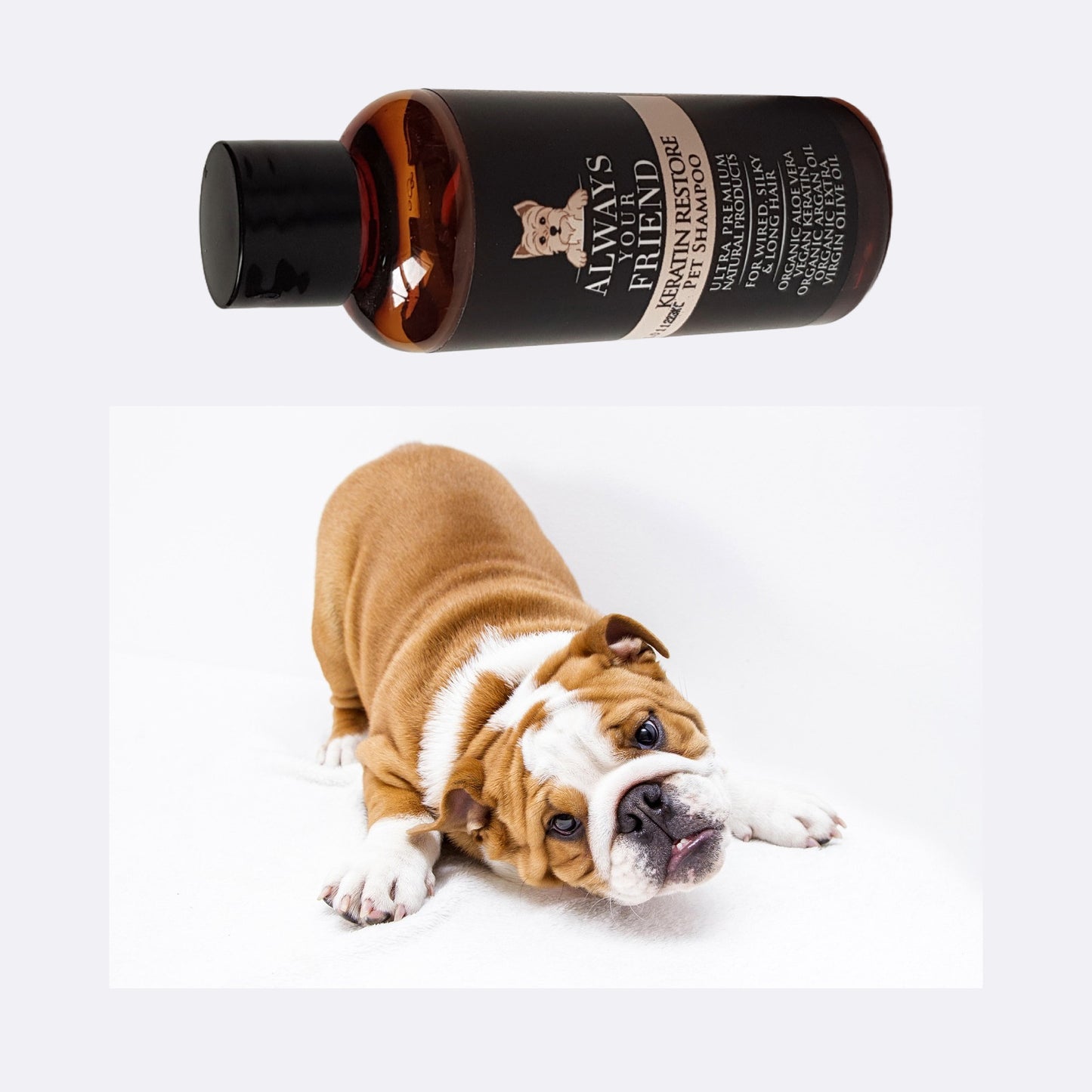 Sampon mini pentru animale de companie, Keratin Restore, Diluabil 1:32, Always Your Friend (fabricat manual)