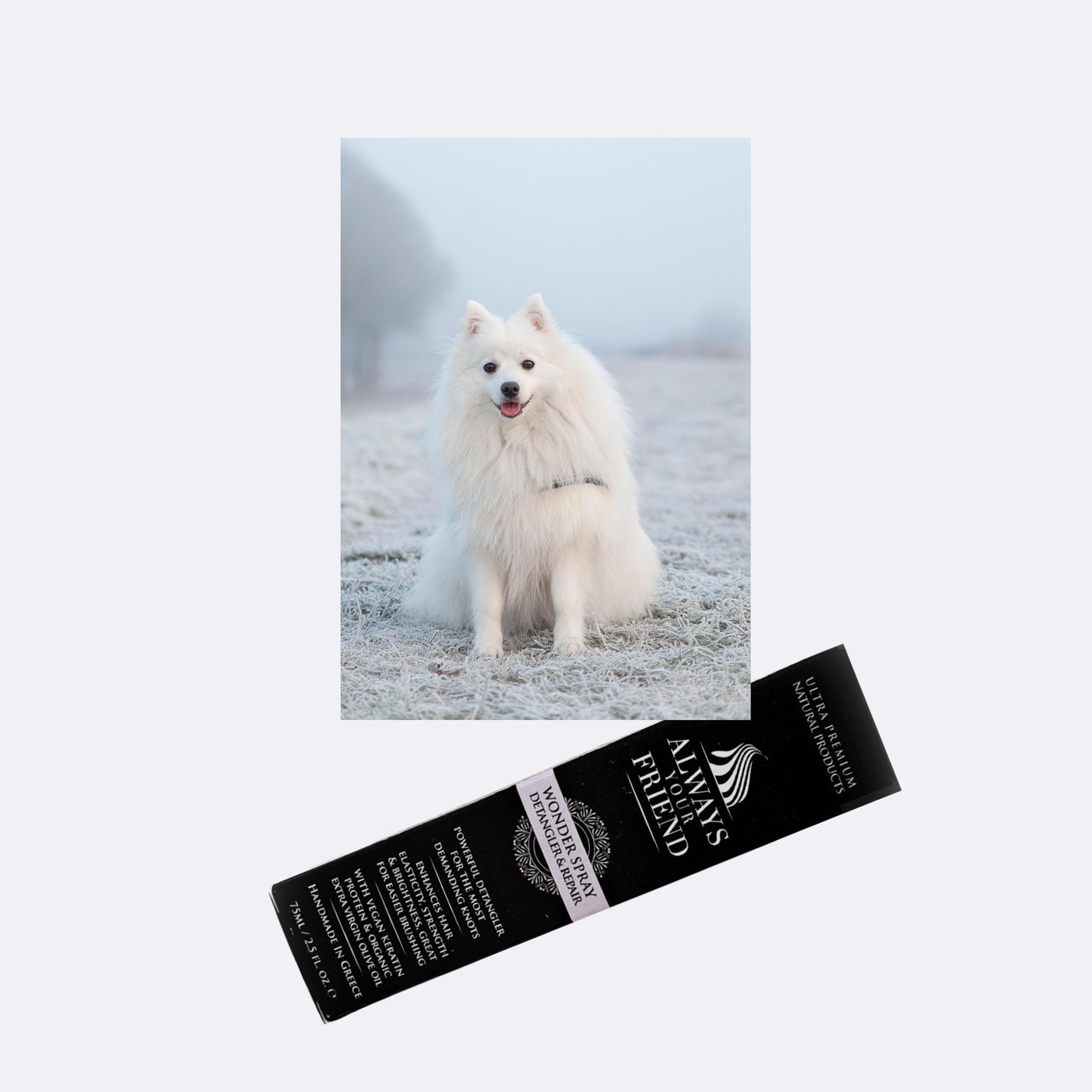 Spray descalcire blanita animale de companie, Always Your Friend (fabricat manual)