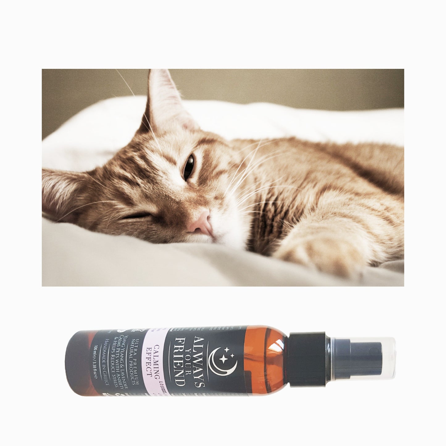 Spray relaxare animale de companie, Always Your Friend (fabricat manual)